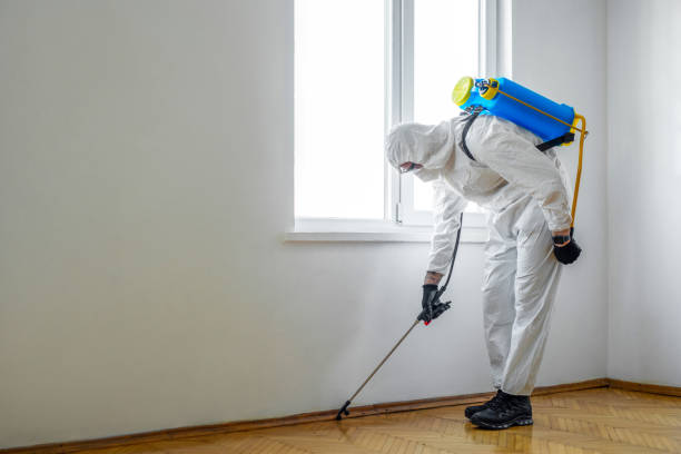 North New Hyde Park, NY Pest Control Company