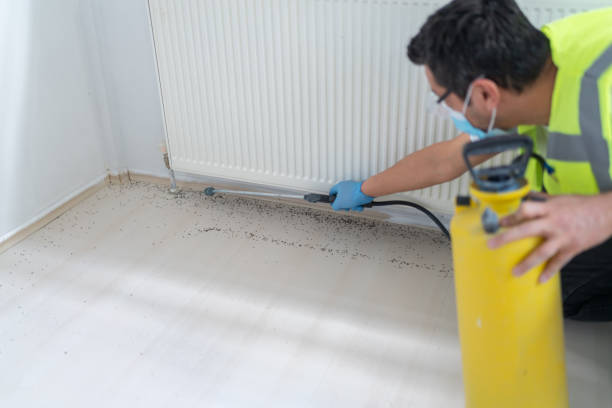 Best Affordable Pest Control Services  in North New Hyde Park, NY