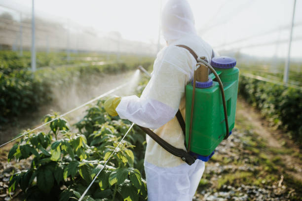 Best Exterminator Services  in North New Hyde Park, NY